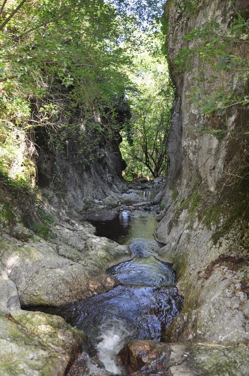 Apartman Bogojevic Golubac Bagian luar foto