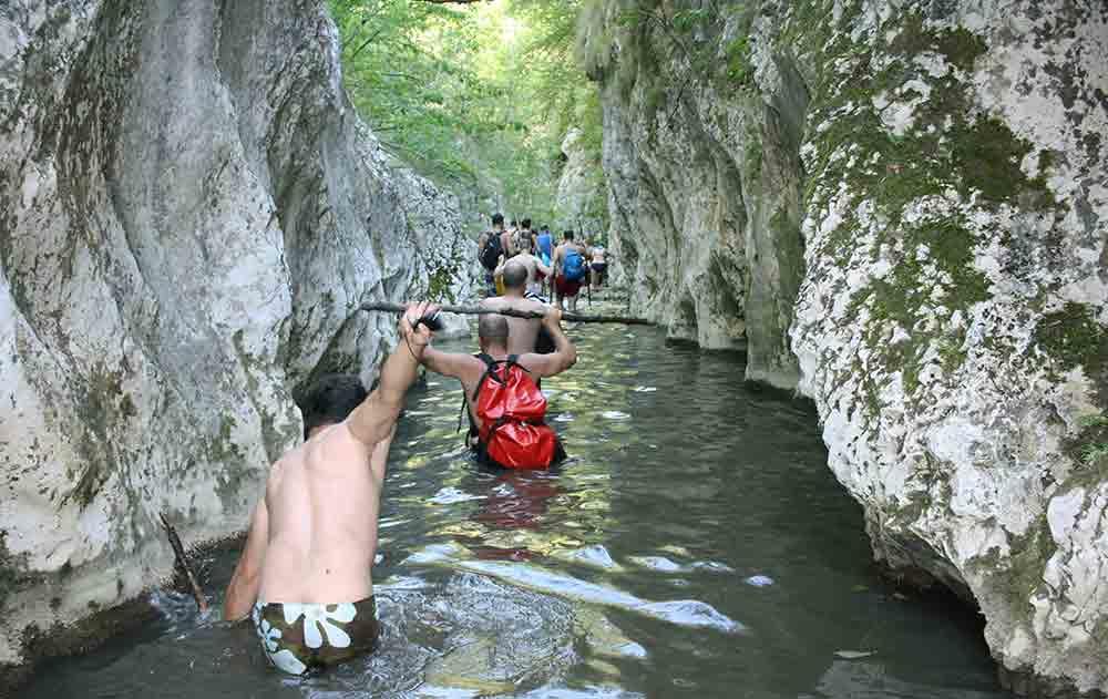Apartman Bogojevic Golubac Bagian luar foto