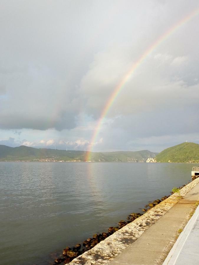 Apartman Bogojevic Golubac Bagian luar foto